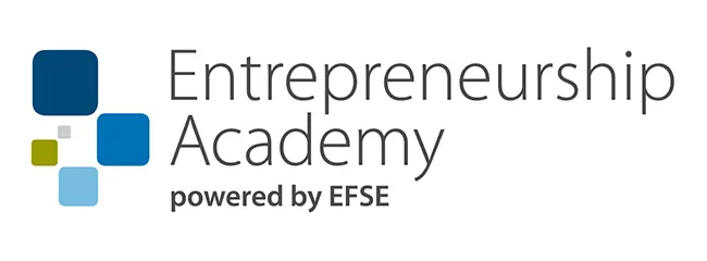 Entrepreneurship Academy powered by EFSE